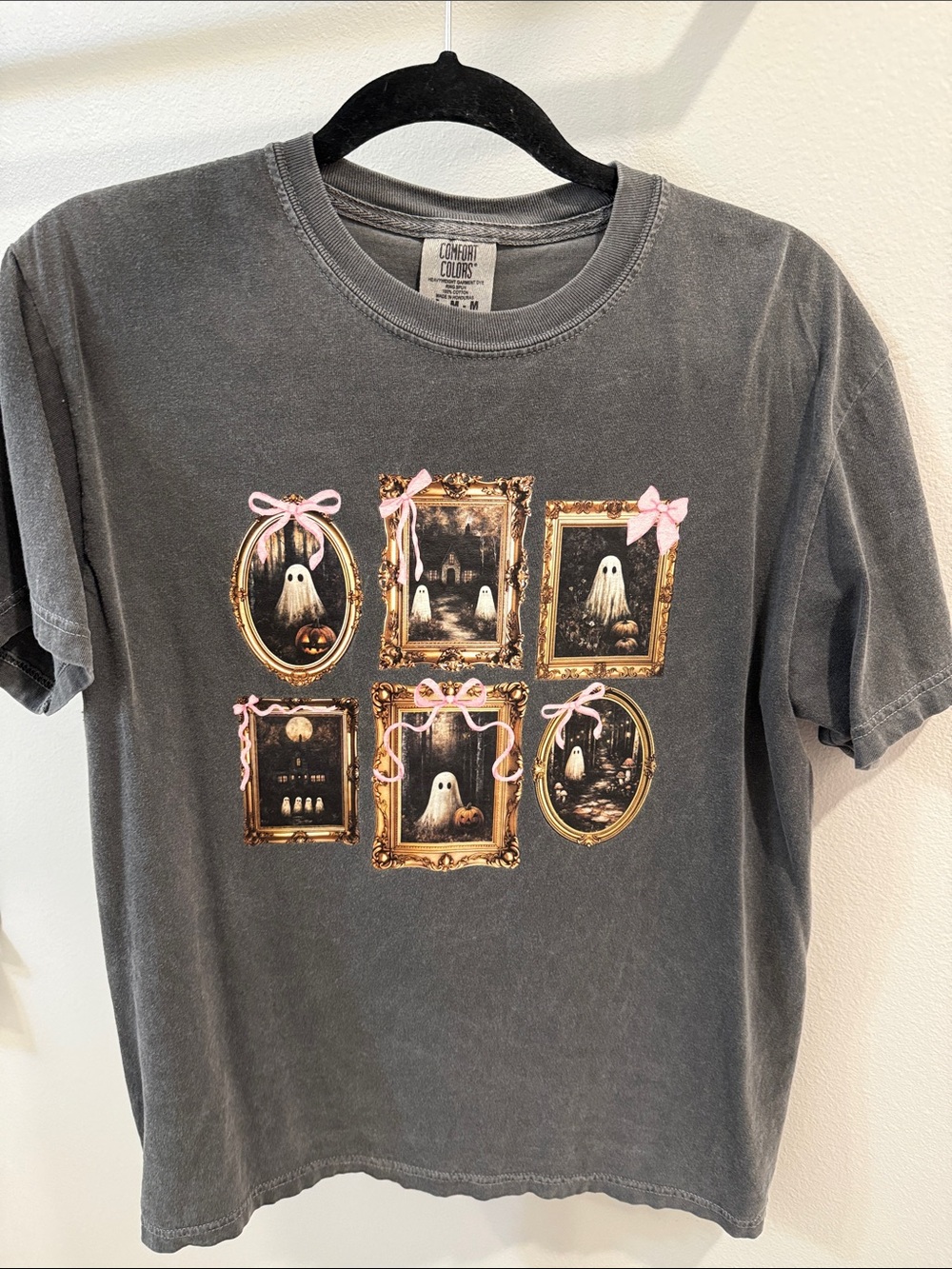 Comfort Colors Gray Short Sleeve Tee with Ghost Frame Graphic
